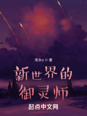 新世界的御灵师