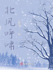 北风呼啸在线阅读