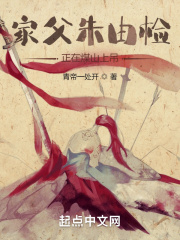 家父朱由检，正在煤山上吊在线阅读