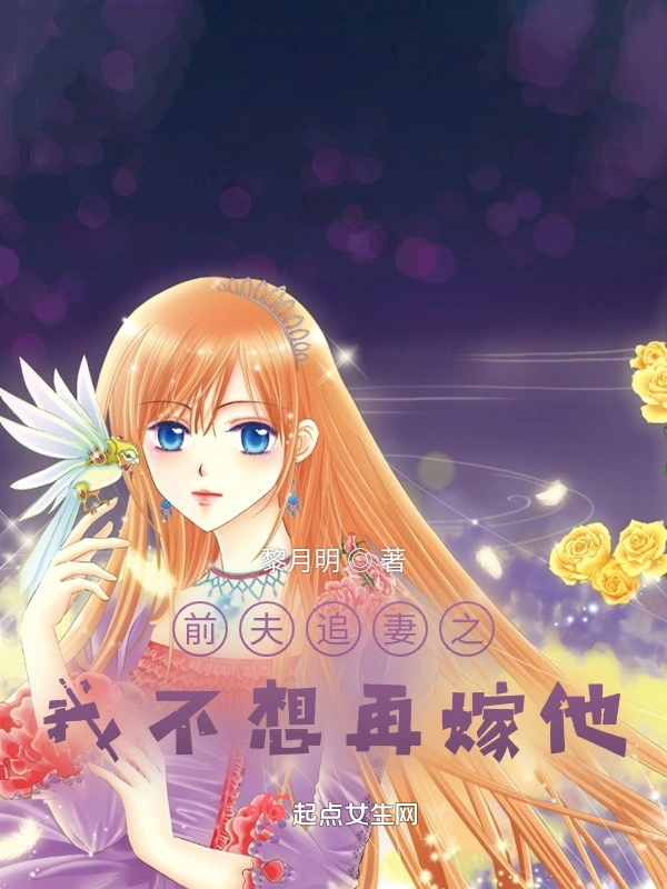 前夫追妻之我不想再嫁他