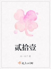 贰拾壹在线阅读