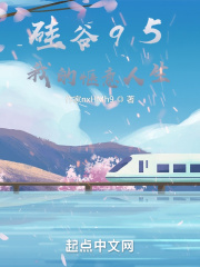 硅谷95：我的惬意人生在线阅读