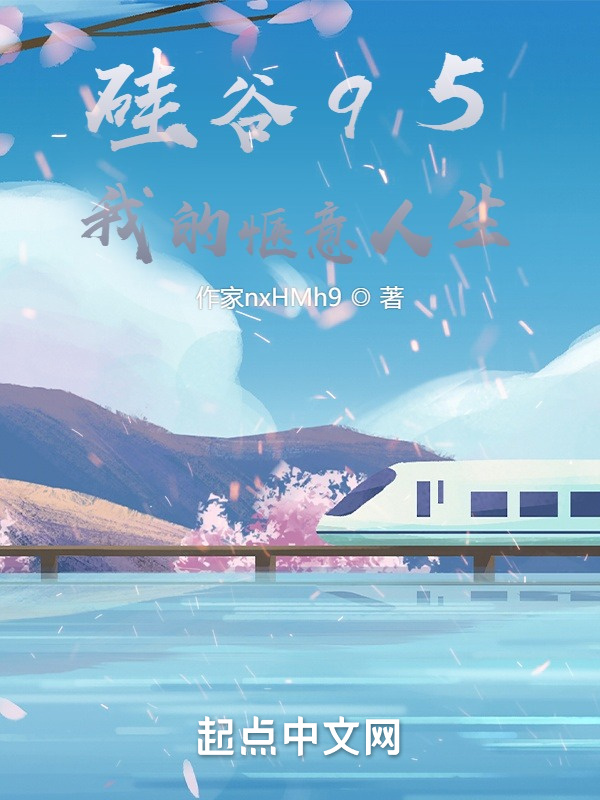 硅谷95：我的惬意人生在线阅读