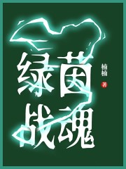 绿茵战魂