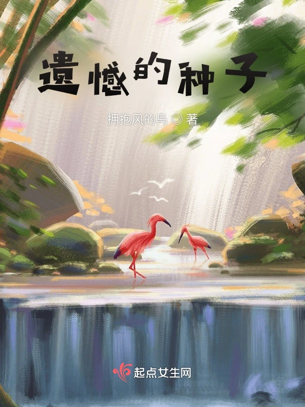 拨不开的云雾
