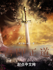 吾即正道在线阅读