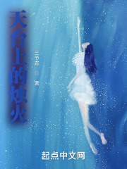 天台上的烛火在线阅读