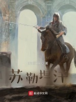 大漠雄鹰苏勒坦汗在线阅读