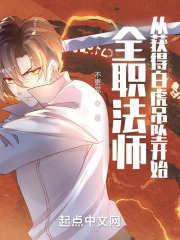 全职法师：从获得白虎吊坠开始在线阅读