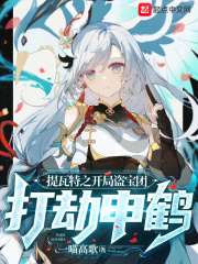 提瓦特之开局盗宝团，打劫申鹤在线阅读