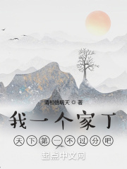 我一个家丁天下第一不过分吧？