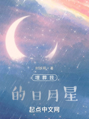 埋葬我的日月星在线阅读