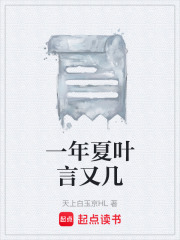一年夏叶言又几在线阅读