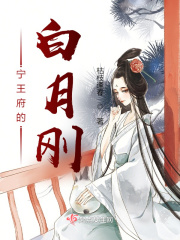 宁王府的白月刚在线阅读