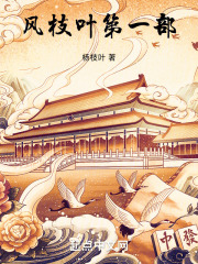 风枝叶第一部在线阅读
