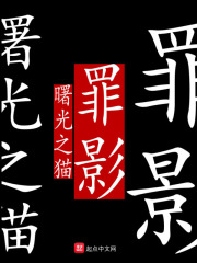 罪影在线阅读