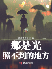 那是光照不到的地方在线阅读