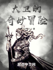 大卫的奇妙冒险