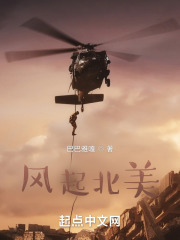 风起北美在线阅读