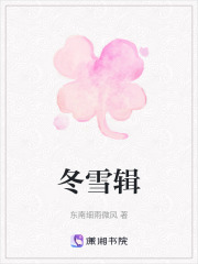 冬雪辑在线阅读
