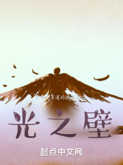 光之壁在线阅读