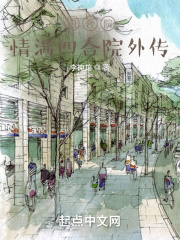 四合院：情满四合院外传在线阅读