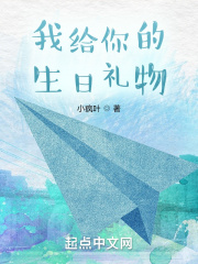 我给你的生日礼物在线阅读