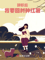 辞职后，我要回村种红薯在线阅读