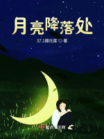 月亮降落处在线阅读