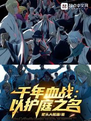 死神：以护庭之名