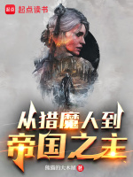 从猎魔人到帝国之主封面