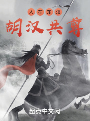 人在东汉，胡汉共尊在线阅读