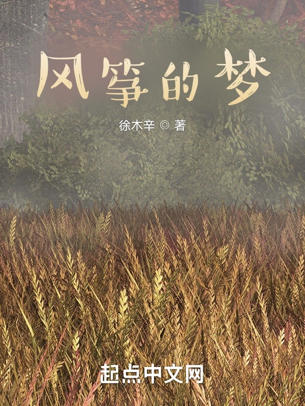 风筝的梦