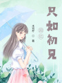 回忆只如初见在线阅读