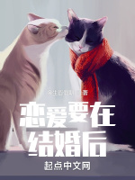 恋爱要在结婚后在线阅读