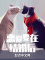 恋爱要在结婚后在线阅读