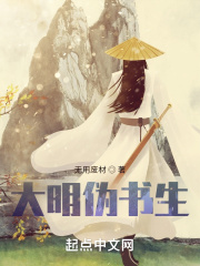大明伪书生在线阅读