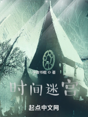 时间迷宫