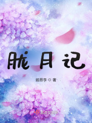 胧月记