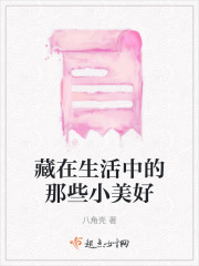 藏在生活中的那些小美好在线阅读