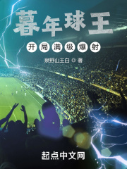 暮年球王，开局满级爆射在线阅读