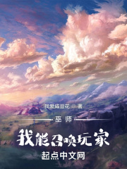 巫师，我能召唤玩家在线阅读
