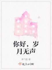 你好，岁月无声在线阅读