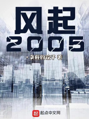 风起2005在线阅读