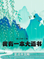 我有一本大道书在线阅读