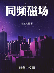同频磁场