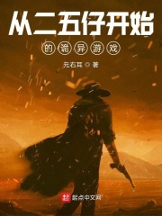 二五仔洗白手册在线阅读