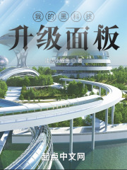 我的黑科技升级面板在线阅读