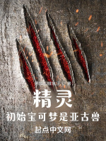 精灵：初始宝可梦是亚古兽在线阅读