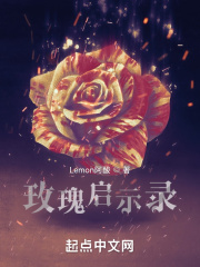 玫瑰启示录在线阅读
